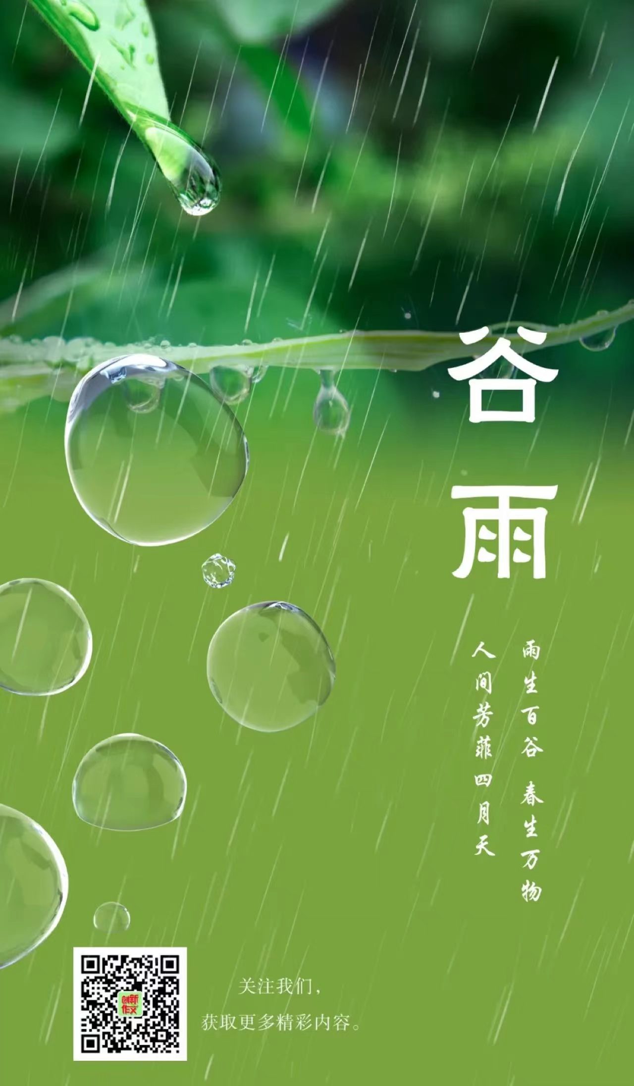 谷雨.jpg